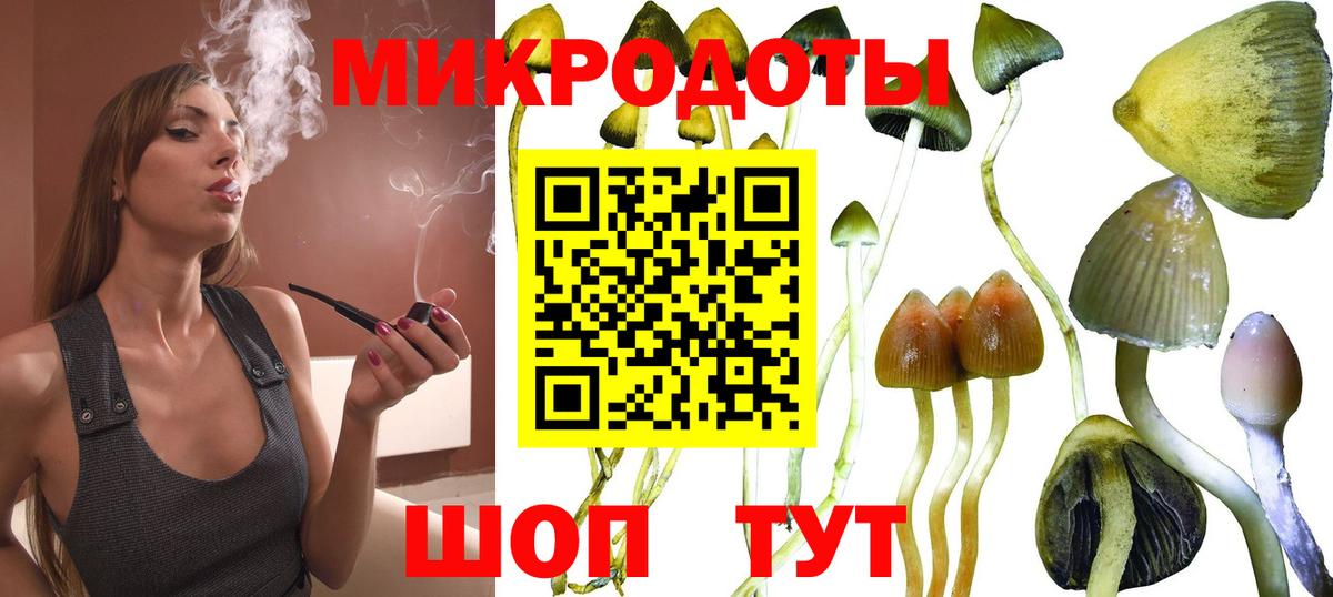 Псилоцибиновые грибы GOLDEN TEACHER  Вход с VPN  Серпухов 